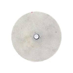 Polijststeen voor slijpmachine ESS100