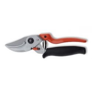 Löwe 9.109, anvil pruner
