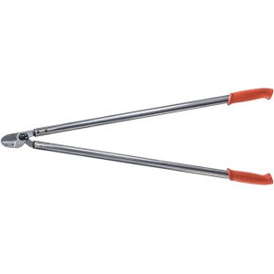 Löwe 20.100, Amboss Astschere