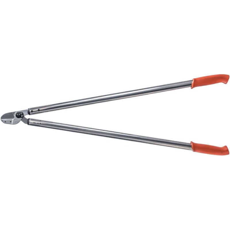 Löwe 20.100, enbracheur anvil