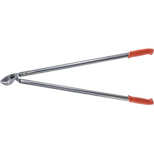 Löwe 22.100, Amboss-Astschere