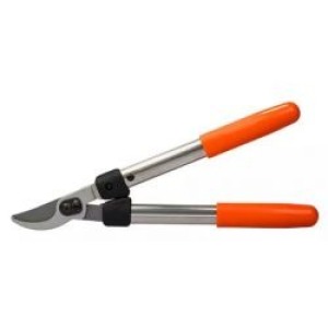 Löwe 31.040, kleine Bypass-Astschere