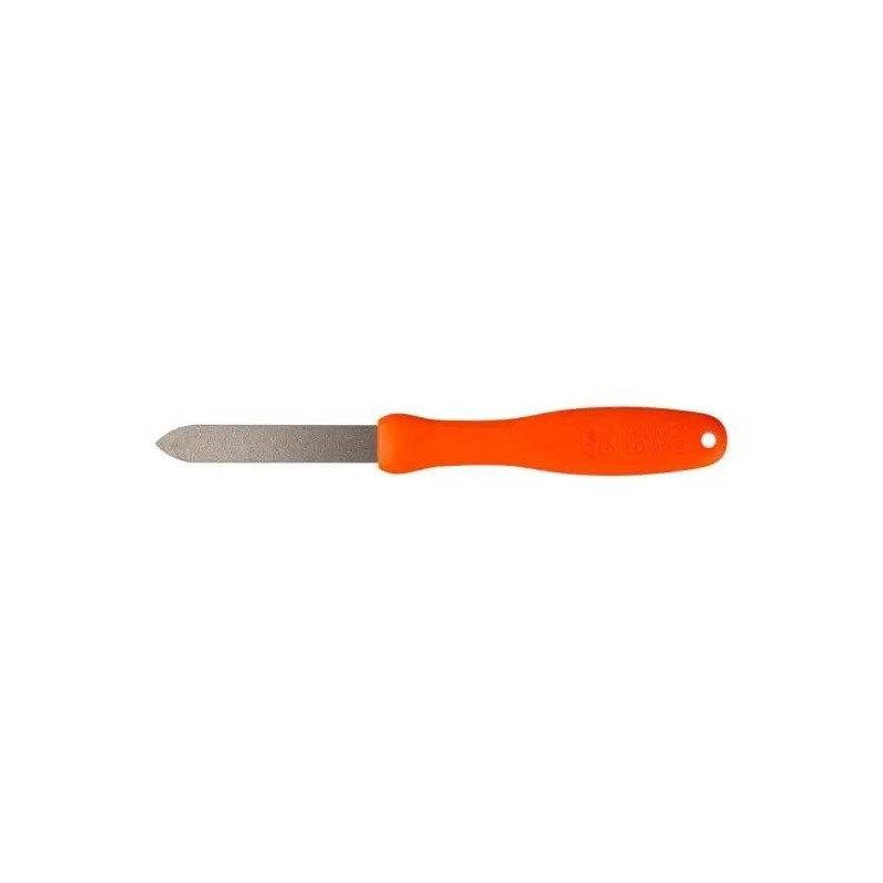 Löwe 0022